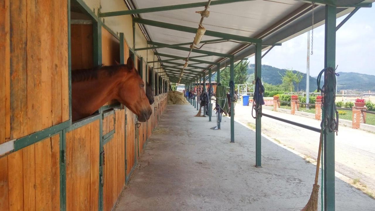 Relais Black Horse Millesimo Buitenkant foto